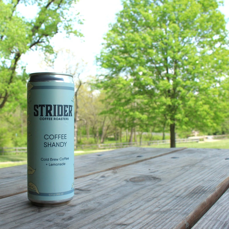 Coffee Shandy 4-pack | Canned Ready-to-drink Coffee | Strider